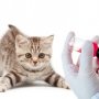 Инактивированные вакцины для кошек