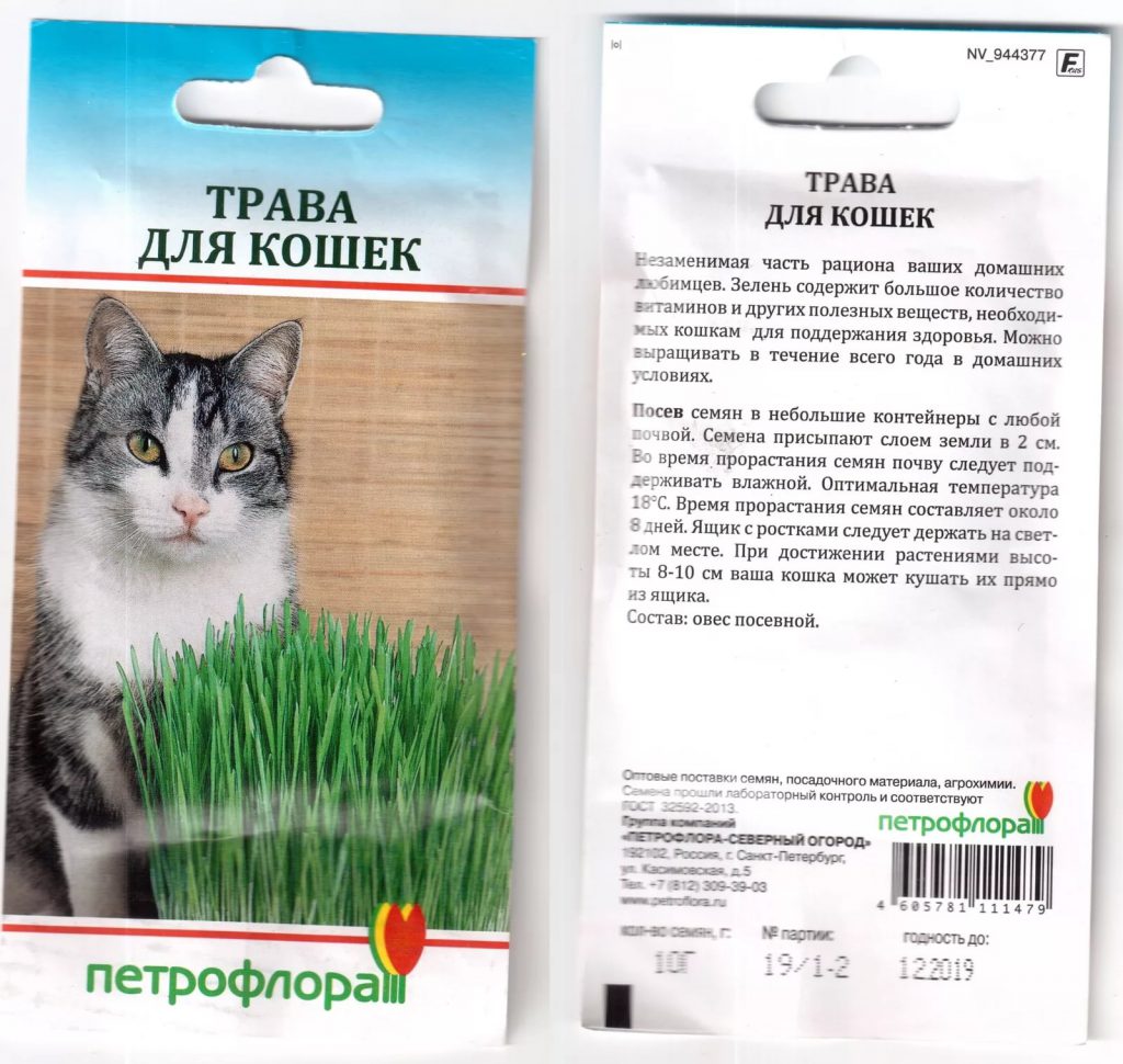 Какие семена травы для кошки